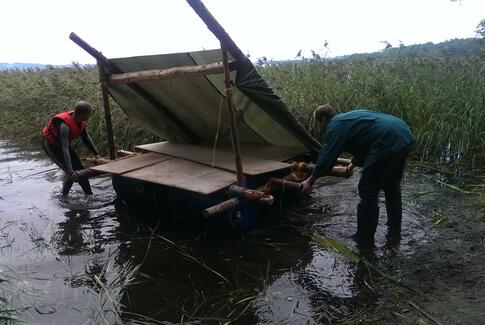 Knob, sved og tårer