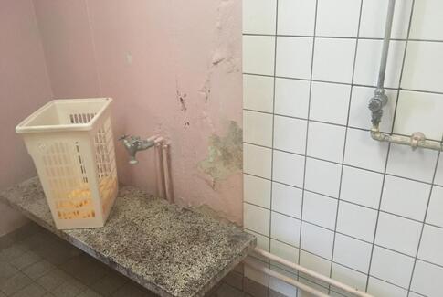 Udspring og hul i bassinet