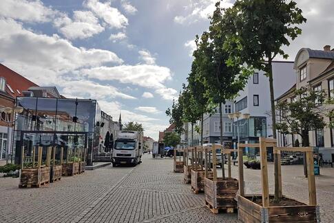 Midlertidig træallé rykker ind på Søndergade i Horsens