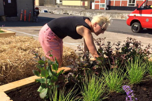 Tilskud til grønne byrum og friluftsprojekter