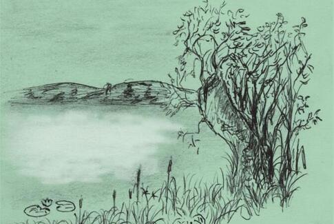 Et jævnt og muntert liv på jord og til søs