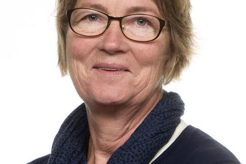 25-års jubilæum på Vestbirk Friskole