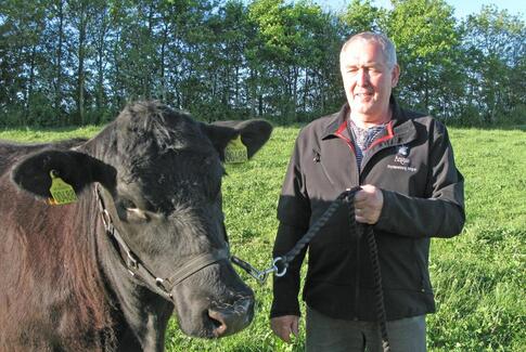 Ingen sommer uden dyrskue