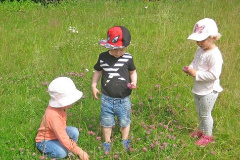 Grøn hverdag i den kommunale dagpleje