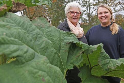 Ældre vil mere end at hækle