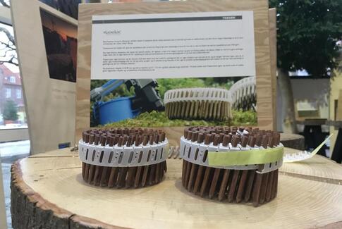 Grøn inspiration til horsensianernes byggedrømme