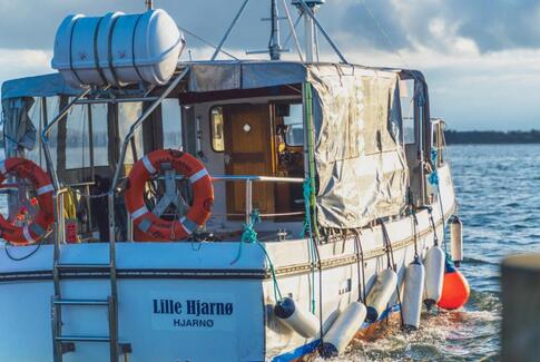 Cykelfærgen mellem Alrø og Hjarnø slår alle rekorder