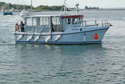 Øhop med cykelfærgen over Horsens Fjord