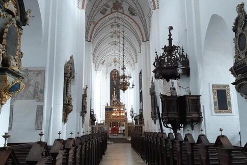 Udsigt og indsigt for 7.klasser på Egebjerg skole