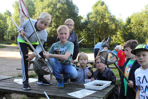 Elever udforsker guldsmedenymfer og skorpiontæger i naturen