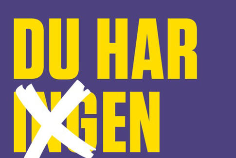 Stemmekampagne inviterer horsensianere til demokratiets festdag