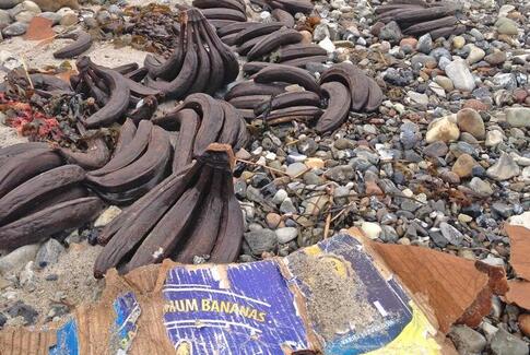 Arbejdet med oprydning på Endelaves kyst er i fuld gang