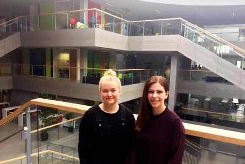 Velux får hjælp med arbejdsmiljøet