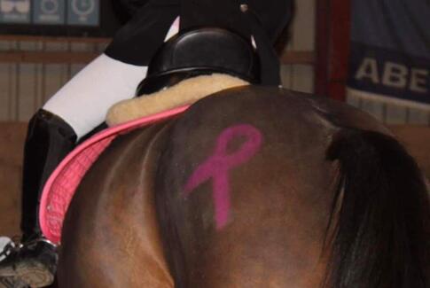 Molger rideklub har afholdt Knæk Cancer-stævne