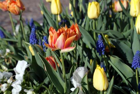 Modeopvisning og tøjsalg på Birkebo
