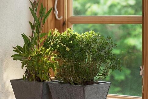 Undgå at blive snydt, når du leder efter bolig