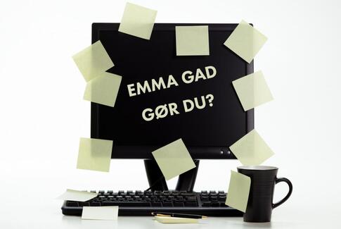 Hvad siger Emma Gad til Vestbirk havefest?