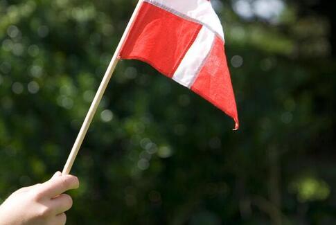 Danmark har fået en ny folkebevægelse mod EU