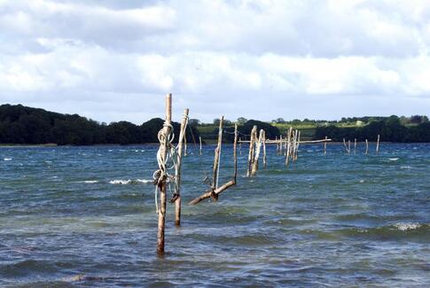 Udflugt! Nu prøver vi det!