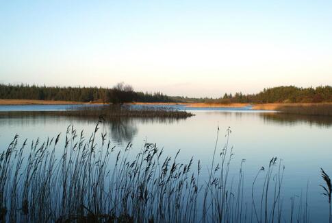 Man bor godt i Gedved