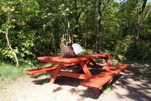 Strikkedamerne tager på udflugt