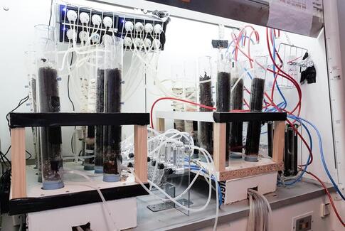 Bakterier kan hjælpe på drivhuseffekten