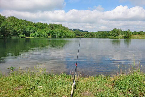 Fang en naturoplevelser i Fyelmose