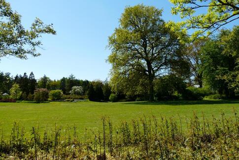 Bustur til Geografisk Have med ÆldreSagen