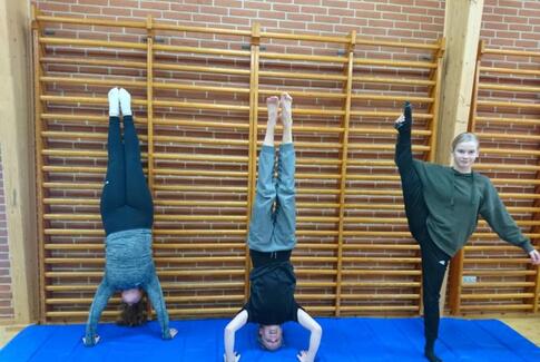 Indsamlingsevent ved GFG’s forårsopvisning 14. marts