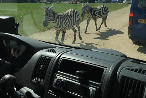 Skovly Centret på oplevelsesture i Danmark