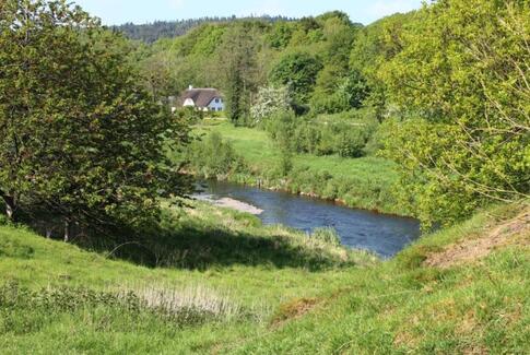 Stop Gudenå-projektet nu