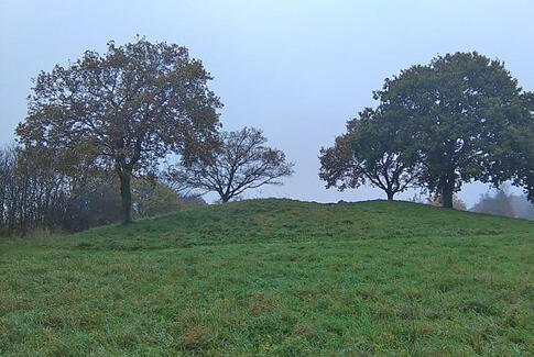 Fortidsmindedag i Horsens