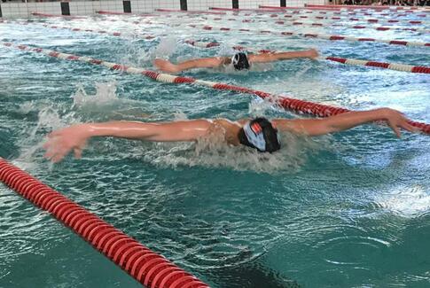 Seks jyske mestre til Horsens Svømmeklub