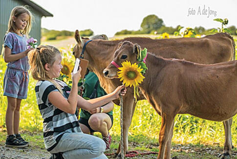 Besøg Horsens Børnebondegård