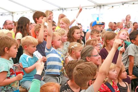 Udsigt til Hovedgård Byfest
