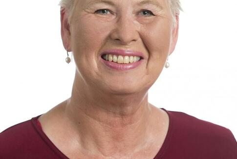 Gaver og løfter om gaver til velfærd i et valgår