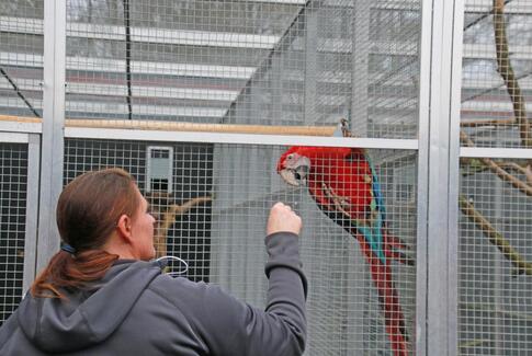 Traditionel slagterforretning åbner i Yding