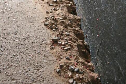 Rotter søger nye hjem i Østbirk