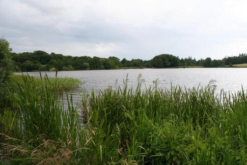 Skal Vestbirksøerne bare bevares?