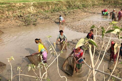 Østbirk og Yding Sogne samler ind til Folkekirkens Nødhjælp