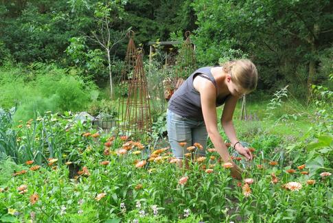 Havefestival i Sondrup Bakker