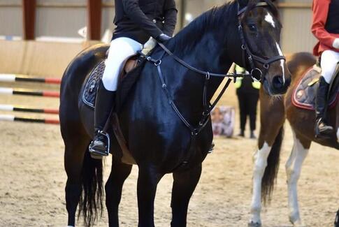 Vestbirk ryttere til spring cup i Hylke