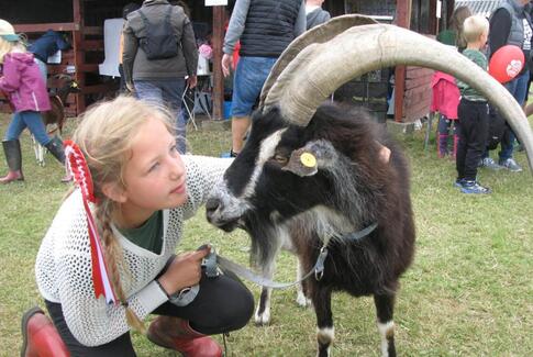 Dyrskue med noget for alle