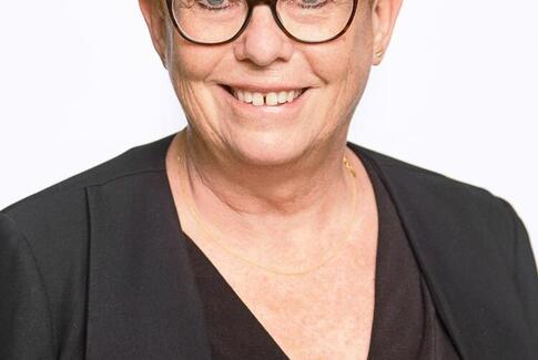 Dannelse i folkeskolen