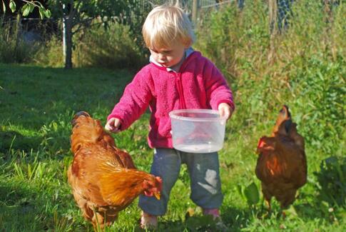 Børneliv med dyr og natur