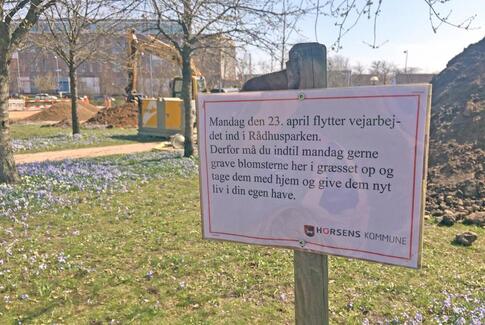 Blomsterløg fra Rådhusparken søger nyt græs