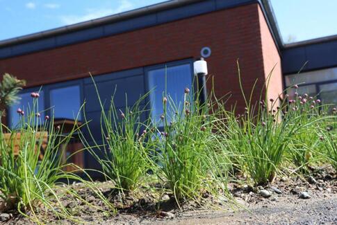 Sansehave klar til beboere på Gedvedhus