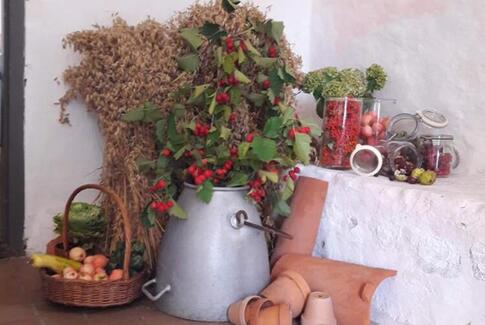 Høstgudstjenester i Lundum og Hansted