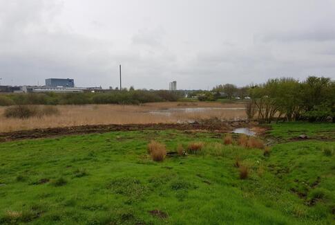 Borgere skal hjælpe med at navngive ny sø