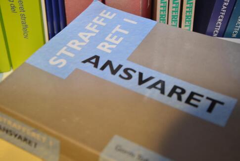 En dags kriminelle handlinger medførte 12 års udvisning